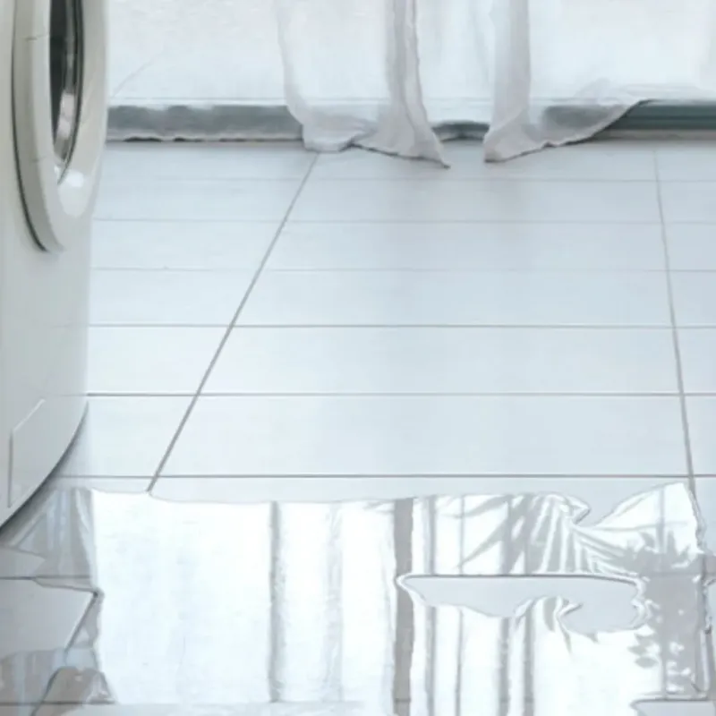 Appliance Leak Cleanup in Lewis County, WA