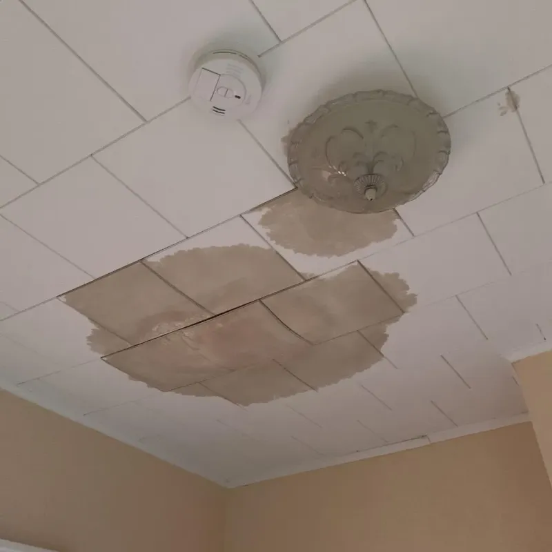 Ceiling Water Damage Repair in Lewis County, WA